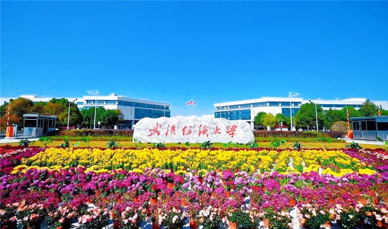 11.武汉纺织大学.jpg